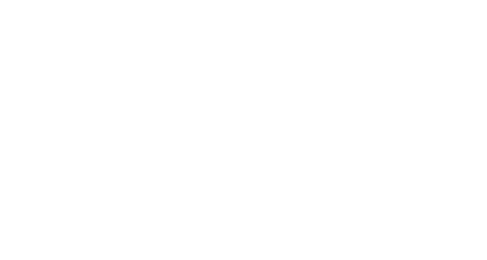 LOGO BERSOUZA